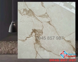 Tìm hiểu đại lý phân phối gạch Trung Quốc