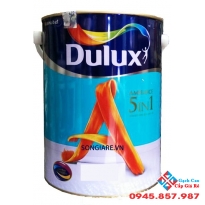 Dulux 5 in 1 Ambiance Lon 5 Lít