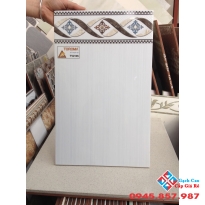 Gạch Thanh Thanh 25x40 2405V