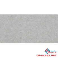 Gạch men mờ hoàng gia 30x60 R366002