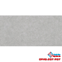 Gạch men mờ hoàng gia 30x60 R366002