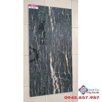 GẠCH BÓNG KIẾNG 60X120 CATALAN 1206