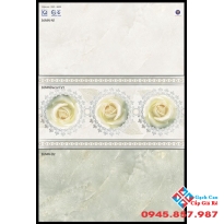 Gạch Ốp Tường 30X60 Viglacera (2)
