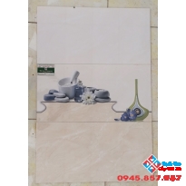 Gạch ốp 30x60 giá rẻ nhất bình chánh (05)