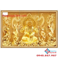 25x40 giá rẻ (03)