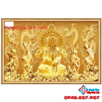 25x40 giá rẻ (03)