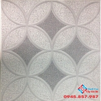 Gạch lát nền 25x25 Roayl giá rẻ nhất