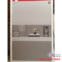 GẠCH ỐP BỘ 30X60 GIÁ RẺ TẠI KHO THẾ GIỚI GẠCH (01)