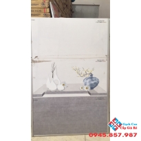 GẠCH ỐP 30X60 SALE