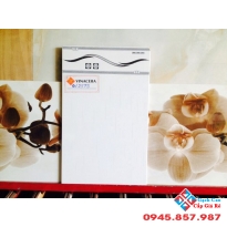 Gạch giá rẻ Viglacera 25x40 Q2573