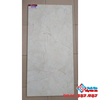 GẠCH BÓNG KIẾNG 60X120 CATALAN 1208