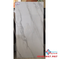 GẠCH BÓNG KIẾNG 60X120 ẤN ĐỘ E089