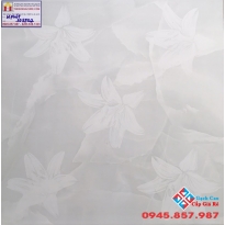 GẠCH LÁT NỀN 50X50 ROAYL3D5502