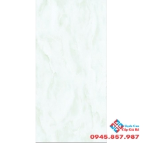 Gạch KTS Thanh Thanh 30x60 C-3604