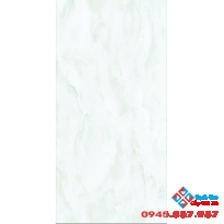 Gạch KTS Thanh Thanh 30x60 C-3604