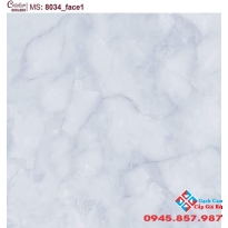 ĐÁ BÓNG KIẾNG 80X80 CATALAN (01)