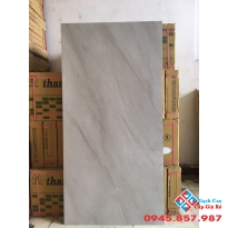 GẠCH BÓNG KIẾNG 60X120 MÃ (10)