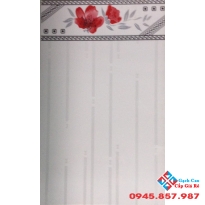 Gạch Roayl ốp nhà trọ 25x40 giá rẻ