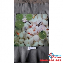 tranh trang trí giá rẻ