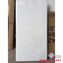 Gạch Ốp Tường 40x80 Mã 4802