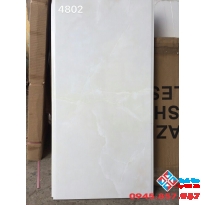 Gạch Ốp Tường 40x80 Mã 4802