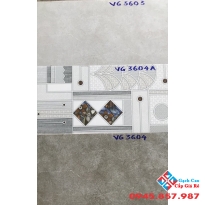 GẠCH ỐP TƯỜNG 30X60 VIGLACERA VG3603