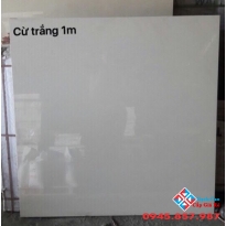 GẠCH BÓNG KIẾNG 1MX1M ĐÁ XÀ CỪ TRẮNG