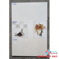 Gạch Ốp Tường 30X60 Tasa (1)