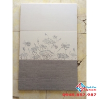 GẠCH ỐP 30X60 TASA GIÁ RẺ (01)