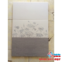 GẠCH ỐP 30X60 TASA GIÁ RẺ (01)