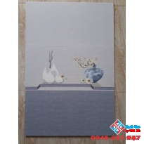 Gạch ốp tường 30x60 giá rẻ tại kho (01)