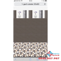 GẠCH ỐP 30X60 CATTALAN SALE