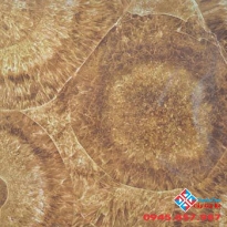 gach lat nền 80x80 giá rẻ (01)