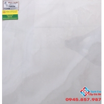 ĐÁ BÓNG KIẾNG 60X60 Ý MỸ F68004