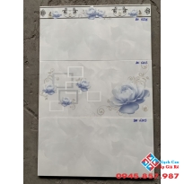 Gạch Ốp Tường 30X60 Á MỸ (11)