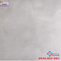Gạch Lát Nền 60x60 Tasa STN6502