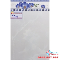 GẠCH ỐP TƯỜNG 30X45 PAK 30453