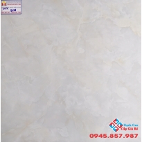 Đá Bóng Kiếng 60X60 PRIMER 9118