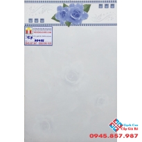 GẠCH ỐP TƯỜNG 30X45 PAK 30451c