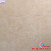 Gạch Lát Nền  60x60 Vân Vàng Tasa STN6506