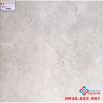 Đá Bóng Kiếng 60X60 PRIMER 9120