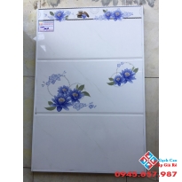 Gạch Ốp Tường 30X60 CMC 3638