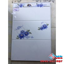 Gạch Ốp Tường 30X60 CMC 3638