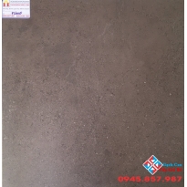 ĐÁ MỜ 60X60 HOÀNG GIA FL6005