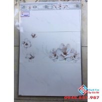 Gạch Ốp Tường 30X60  DIC D306028