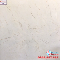 ĐÁ BÓNG KIẾNG 80X80 TRUNG QUỐC 8101