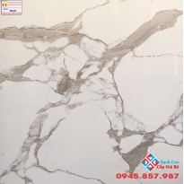 ĐÁ BÓNG KIẾNG 80X80 TRUNG QUỐC 8103