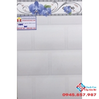 Gạch ốp tường 30x45 pak 001
