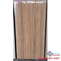 GẠCH BÓNG KIẾNG 60X120 KIS (2)