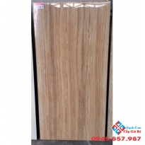 GẠCH BÓNG KIẾNG 60X120 KIS (2)